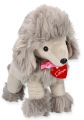 Pudel pluszowy Lily