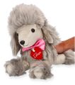 Pudel pluszowy Lily