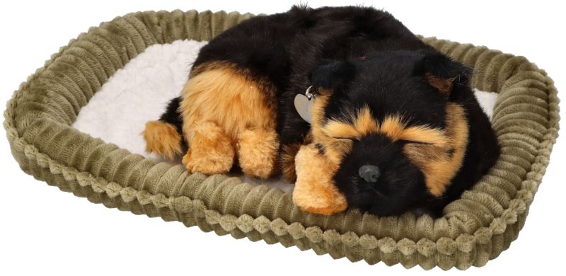 Zaaodoptuj mnie Szczeniaczek oddychający Owczarek niemiecki