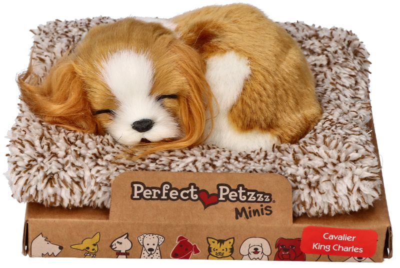 Śpiący szczeniaczek Cavalier King Charles Perfect Petzzz