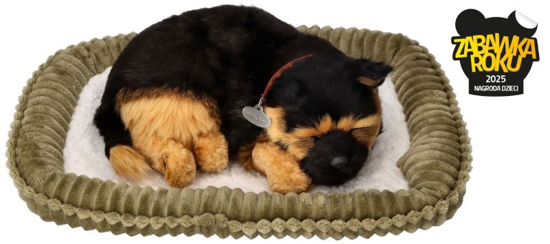 Zaaodoptuj mnie Szczeniaczek oddychający Owczarek niemiecki